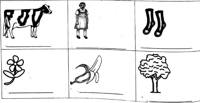 Drawing Fun! Grade 1 CBC Notes in Kenya
