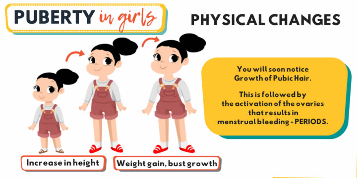 CBC Grade 7 Notes in Kenya-What are Physical Changes in Girls?